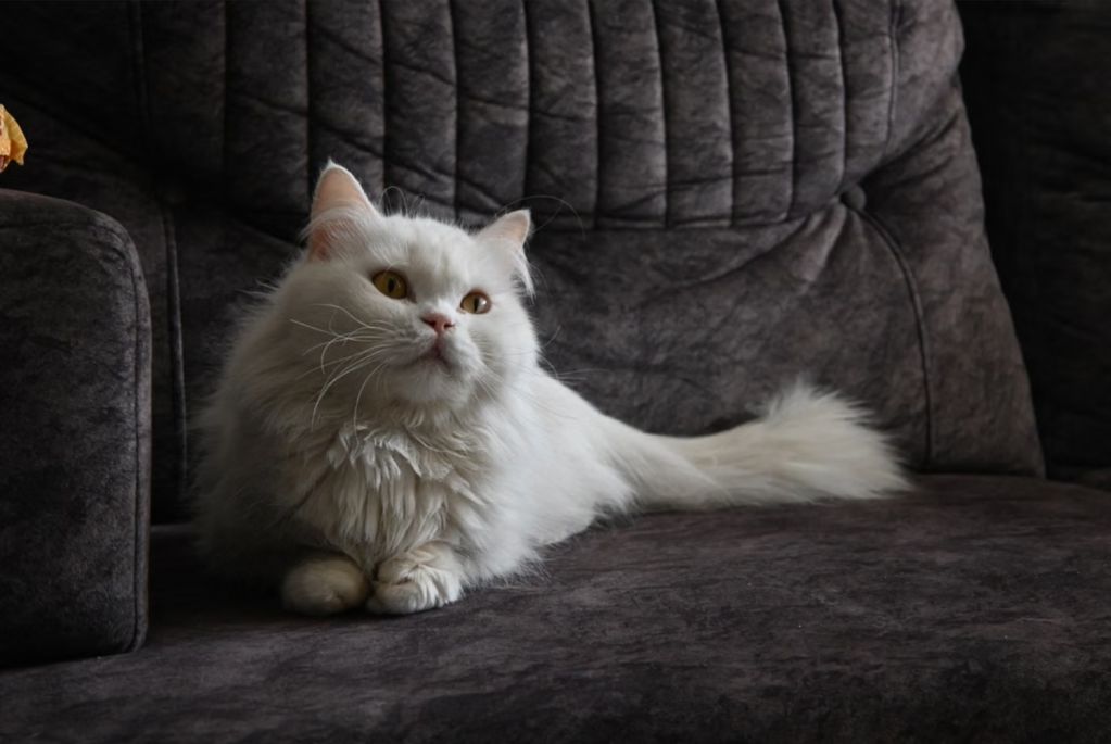 image 16.jpg